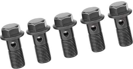 Boulons et Rondelles en Fer Inoxydable, Conviennent à la Plupart des motos. M10 X 1,25 Mm et M10 * 1,0 Mm avec Filetage soigné, 5 Boulons Banjo de Frein, 10 Rondelles Banjo pour