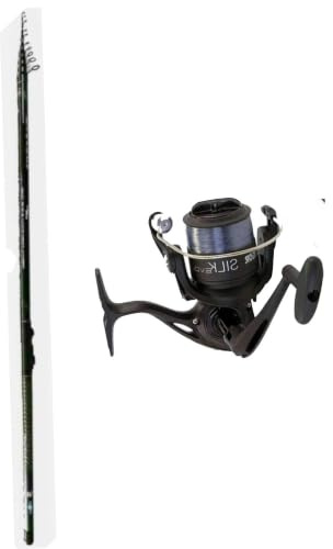 bolognese metri 6 in carbonio canna da pesca mare lago passata con mulinello