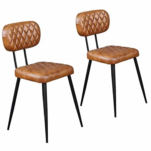 Lederstuhl Sofia Cognac 2er Set aus Echtleder & Metall Esszimmerstühle Qualität Retro-Stuhl für Wohnzimmer Küche Garten Terrasse Esszimmer SP2251