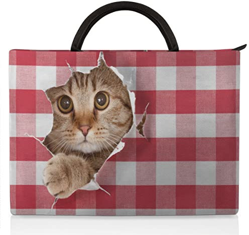 Housse pour ordinateur portable de 15, 15,6, 16, 17 - Imperméable - Léger - Tendance - Pour homme et femme