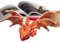 Spielzeug , Drachenfiguren für die | Realistische fliegende Drachenfigur, Executive Desk Toys, Dekoration für Büro oder Schrank
