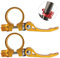 DAZISEN Morsetto del Sedile - Mountain Bike Bicicletta Scaffale Tubo Morsetto Blocco Sgancio rapido Sella Sede Asta Morsetto 31.8mm 2 Pezzi(Oro)