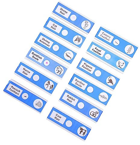 MUSISALY 12 Stück Kunststoff Mikroskop Objektträger Für Kinder Vorgefertigte Biologische Proben Sicher Ohne Scharfe Kanten Für Schule Und Zuhause Mikroskop Zubehör Für Lernexperimente