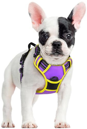 rabbitgoo Hundegeschirr Mittelgroße Hunde Anti Zug Geschirr Hund mit Kontrolle No Pull Verstellbar Hundegeschirr Grosse Hunde Atmungsaktiv Reflexstreifen Brustgeschirr Sichere Führung Lila+Gelb S