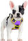 rabbitgoo Hundegeschirr Mittelgroße Hunde Anti Zug Geschirr Hund mit Kontrolle No Pull Verstellbar Hundegeschirr Grosse Hunde Atmungsaktiv Reflexstreifen Brustgeschirr Sichere Führung Lila+Gelb S