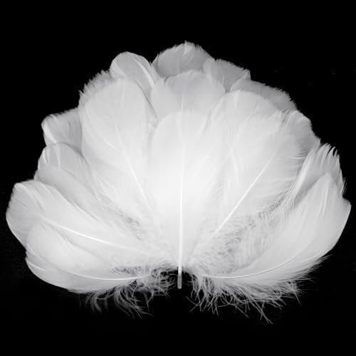 AOOTE Weiße Federn zum Basteln,350 Stück Deko Federn,6~12cm,Natürliche Feder,Weich Federn,Flaumfedern,Feder Handwerk für DIY Ohrring,Kopfschmucksfedern,Traumfänger,Hochzeit,Ostern,Weihnachten