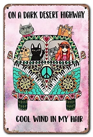 On A Dark Desert Highway Cool Wind In My Hair Retro Metall Blechschild Vintage Aluminium Schild für Zuhause Kaffee Wanddekoration 20,3 x 30,5 cm