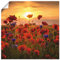 ARTLAND Wanddeko Poster & Kunstdrucke Wandposter 70 x 70 cm Botanik Blumen Mohnblume Foto Rot Mohnblumen im Abendlicht S9RX