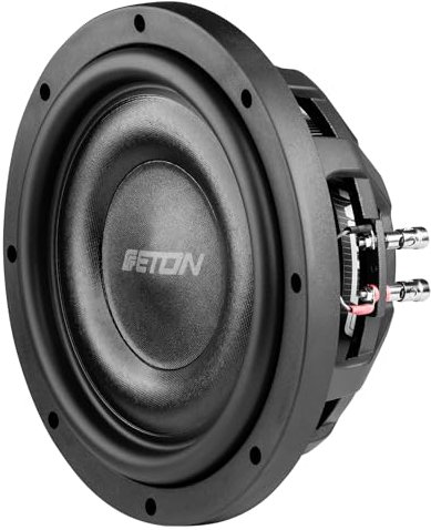 Eton MW 10 Flat - Subwoofer potente, piatto da 25 cm/10 pollici, basso a lunga corsa per auto, altoparlante con magnete in ferrite, 2 x 2 ohm, 2 x 350 Watt, 1 pezzo