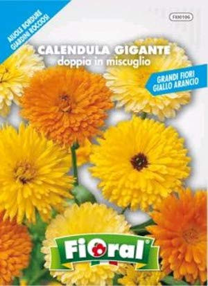 Sementi da fiore di qualità in bustina per uso amatoriale (CALENDULA GIGANTE DOPPIA IN MISCUGLIO)