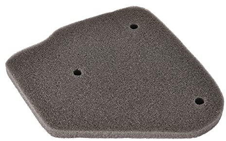 WOOSTAR Filtro Aria Spugna Nucleo Sostituzione per 2 Tempi 50cc 70cc 90cc JOG Minarelli Polaris Jonway Qlink Eton Scooter ATV Quad Dirt Pit Bike
