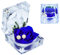 Qaixwuyi Coffret Roses Bleues Éternelles Boîte à Cadeaux Rose Bleue Boîte à Anneaux Fleurs Éternelles Boîte à Roses Saint Valentin Coffret Feurs Éternelles Saint Valentin Confessions Mariage