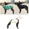 YWBleked Hundeschuhe für Hunde Hundestiefel Wasserdicht Leggings Verstellbar,rutschfeste Hundeschuhe, Reflektierende Hundestiefel & Pfotenschutz für Hunde Wandern, Regnerische (Schwarz, XXL)