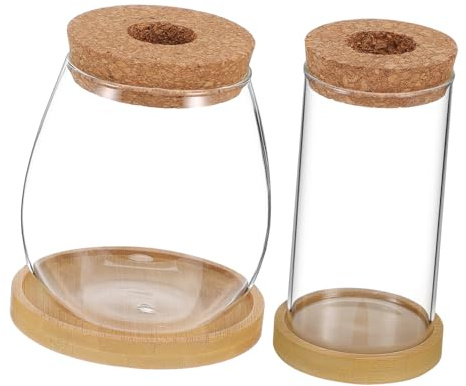 EPIGEIST 2 pièces Lot de Vases Hydroponiques Verre Borosilicate avec Couvercle Liège et Plateau Propagation Plantes Dintérieur Terrarium Tube Transparent pour Bouturage et Culture