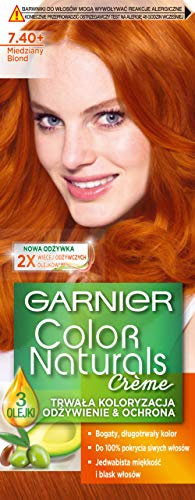 Garnier 3600541264434