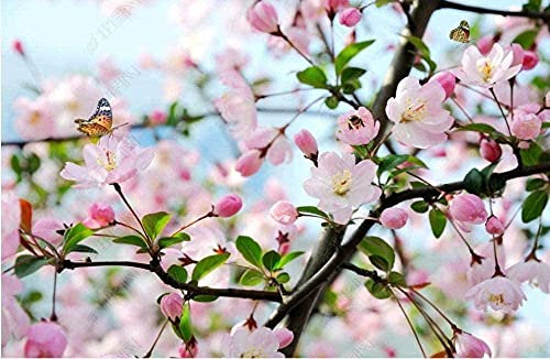 XiuTaiLtd Papel Tapiz Fotográfico Para Habitación De Niños Fotografía De Techo Flor Mariposa Papel Tapiz Fotográfico Mural Papel Tapiz Con Motivos Papel Tapiz De Seda Papel Tapiz 3D Efecto-150x105 CM