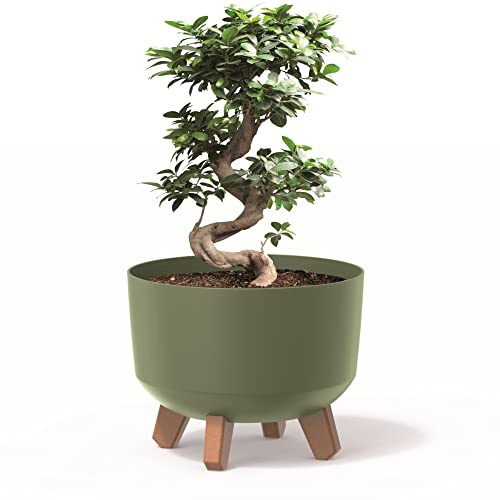botle Pot de fleurs avec pieds pour plantes interieur - Diamètre : 29 cm - En plastique vert - Avec insert mat - Arbre à argent - Cactus - Plume porte-bonheur