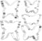 5Pcs Butterfly Biscuit Cutter Stainless Cookie Cutter Pastry Cutter Cookie Cutter Decorating for DIY Biscuit Shapes