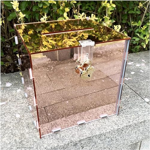 Scatola da esposizione in acrilico, scatola portaoggetti alla moda con serratura, adatta for busta rossa confezione regalo for lotteria, 2 colori, 2 misure ( Color : Rose Gold , Size : 20x20x20cm )