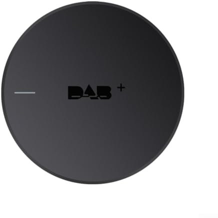 Récepteur radio numérique DAB+, adaptateur radio numérique DAB+, récepteur d'interface USB, design compact pour voiture (style B)