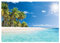 WallArena - Vlies Fototapete Strand Meer Palmen Karibik Ozean Tropical 254x184 cm - Fototapeten - Tapeten - für Wohnzimmer Schlafzimmer - Vliestapete Wandtapete Tapete 3D Effekt- inkl. Kleister