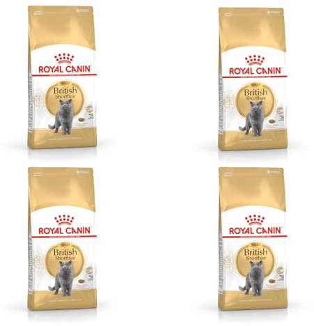 Royal Canin British Shorthair Adult | 4er Pack | 4 x 400 g | Alleinfuttermittel für British Shorthair Katzen | Speziell für Britisch Kurzhaar Katzen entwickelt | Ab dem 12. Monat