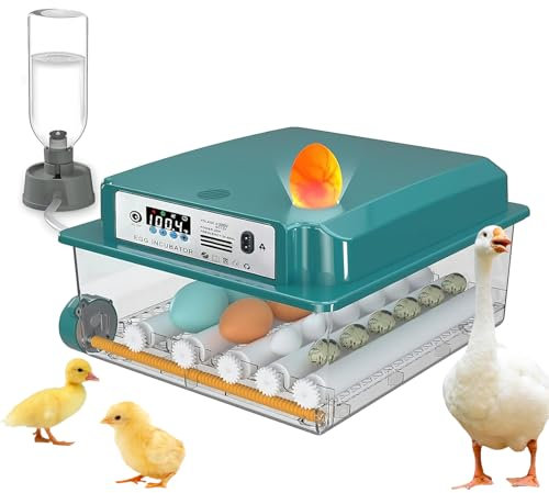 Brutautomat Vollautomatisch Inkubator für 16 Eier, mit Automatischem Wenden der Eier und Automatischer Befeuchtung, Temperaturkontrolle, Feuchtigkeitsanzeige für Hühnereier Wachteleier (16 Eier)