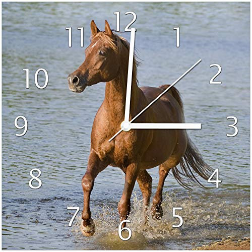 Wallario Design-Wanduhr Braunes Pferd am Meer Araber am Wasser aus Glas, Motiv-Uhr Größe 30 x 30 cm, weiße Zeiger
