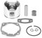 Haofy Kit pistone Cilindro Motosega per McCulloch Promac K540 540 543 543