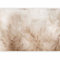 murando Fotomurales Abstracto 400x280 cm XXL Papel pintado tejido no tejido coración Pared corativos Murales morna Diseno Fotográfico beige Blanco como pintado b-C-10315-a-a