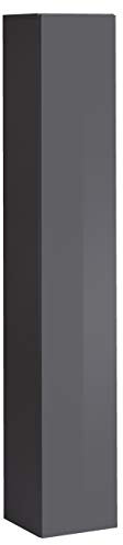 MB Muebles Bonitos, Armoire Mural Berit pour Salon ou Salle à Manger Moderne, Meuble Modulaire, Porte en PVC Haut Brillant, Structure en Mélamine Mate, Couleur Gris, 30x180 cm