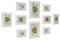 SONGMICS Cadres Photo, Lot de 10, Deux 20 x 25 cm, Quatre 13 x 18 cm, Quatre 10 x 15 cm, MDF, Protection en Plastique, MDF, Blanc Nuage RPF310W