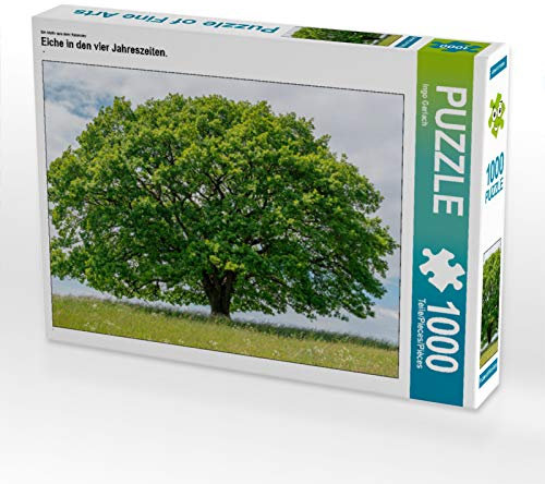 CALVENDO Puzzle EIN Motiv aus dem Kalender Eiche in den Vier Jahreszeiten. 1000 Teile Puzzle quer | 1000 Teile Lege-Größe 64 x 48 cm Foto-Puzzle für glückliche Stunden