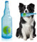 Qiuruoo Water Bottle Dog Toy,Dog Toys for Aggressive Chewers,Water Bottle with Tennis Ball,Suitable for Small and Medium Pets to Exercise Outdoors(Blue)