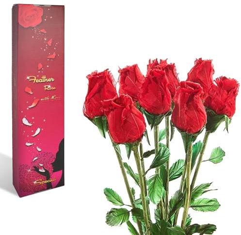 FISHTEC Set mit 9 realistischen Rosen aus Gänsefedern – leicht parfümiert, ewig, handgefertigt, einzigartige Blumen – Geschenkidee zum Valentinstag/Muttertag – Rot – Geschenkbox – H 49 cm