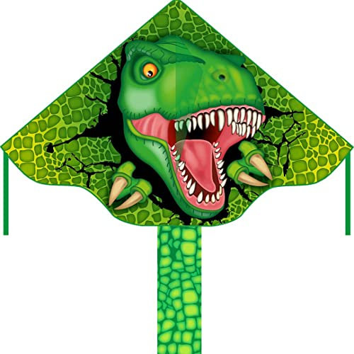 HQ Design Ecoline Simple Flyer 120 Kinderdrachen Flugdrachen Drachen zum steigen Lassen wenig Wind ab 5 Jahre 75x120cm+1.5m Drachenschwanz 17kp Polyesterschnur 25m auf Griff 2-5 Bft (T-Rex)