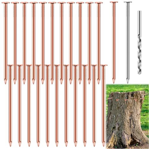 Kupfernägel-Set zum Töten von Bäumen, 8,9 cm, reine Kupfernägel, Baumstumpfreinigung, Nägel für Bäume, Baumstümpfe, Landschaftsbau und Hobbys, 25-teilig