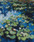 IDEYKA Malen nach Zahlen Wasserlilien. Claude Monet 40x50 mit Holzrahmen Komplettset Feiertagsgeschenke DIY Acrylmalerei