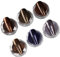 6pcs Chrome Nail Powder Set, 6 Color Nail Chrome Powder, Vintage Metallic Nail Powder For Winter & Autumn 0.5g/Pc Glitter Powder For Nails,Brown Chrome Nail Powder