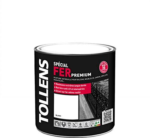 Tollens Peinture extérieure fer
