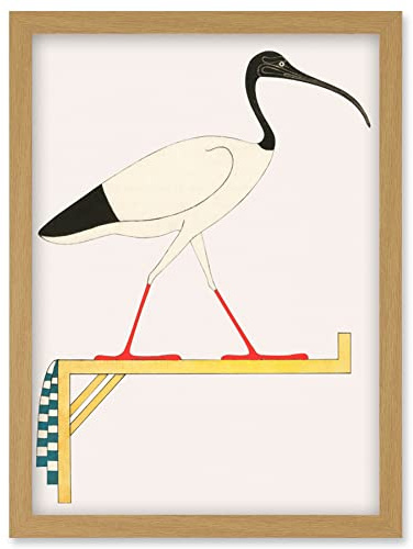 Wee Blue Coo Sacred Ibis Bird on Stand Thoth Egyptian Vintage Illustration Artwork Framed Wall Art Print A4
