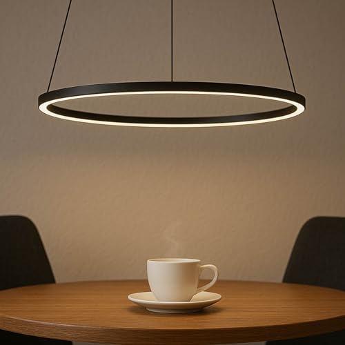 Licht-Erlebnisse LED Hängelampe Metall Ring D: 45 cm H: max. 1 m verstellbar Schwarz 4000 K 600 lm Modern Hängeleuchte Kronleuchter Esstisch Wohnzimmer
