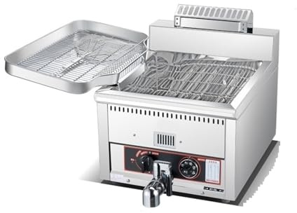 Friggitrice elettrica friggitrice professionale a doppio strato in acciaio inox for patatine fritte da banco con coperchio Riscaldamento Cucina Facilmente Varietà Cibi(15L gas single cylinder)