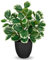 Oairse Plantes artificielles en pot de 37 cm - Plante d'intérieur artificielle avec feuilles de menthe - Décoration pour bonsaï de bureau - Plantes artificielles avec pots - Décoration de table - Pour