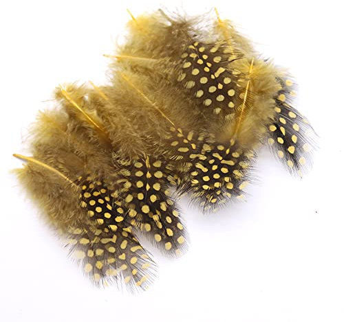 Duories 50 Stück Natürliche Perlenhuhn Feder zum Basteln,Naturfedern Hühnerfeder Kopfschmucksfedern für DIY Kunstwerk Ohrring Traumfänger Maniküre Falsche Wimpern Hüte Masken Haarschmucken Deko,Gold