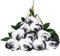 DuHouse 10er Set Künstliche Rosen aus Seidenstoff–54 cm Lange Stiele, Realistische Fake Blumen für Hochzeit, Brautstrauß, Party Tischdekoration & Haus Dekor(Schwarz-Weiß)