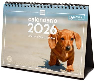 Finocam - Calendario de sobremesa 2026 Mes Vista Enero - Diciembre 2026 + Sep.- Dic. 2025 (4 meses) reducidos | Calendario 2026 | Imágenes Cachorros - Español
