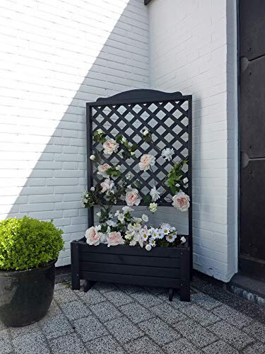 Beauty.Scouts Rankkasten Mariella II Kasten anthrazit wetterfest 140x80x38cm Blumenkasten Pflanzenkasten Pflanzkasten Bluemrankkasten Pflanzenrankkasten Holz