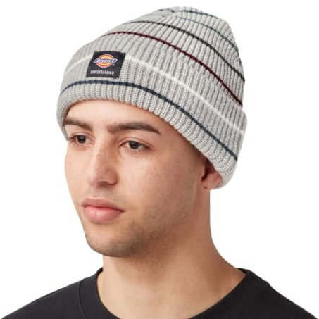 Dickies Men's Cuffed Skateboarding Heather Gray Stripe Beanie