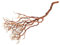 NaDeco Manzanita Baum Natur ca. 90cm hoch Manzanita Zweig Natur Zweig Dekobaum Hochzeitsbaum Dekobaum Dekozweige